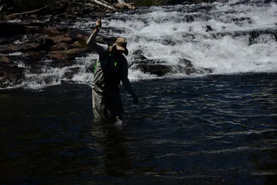 DSC_9931 (Large).JPG